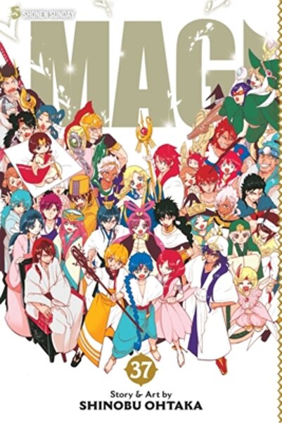 Viz LLC Magi: Labirintul Magiei, Vol. 37