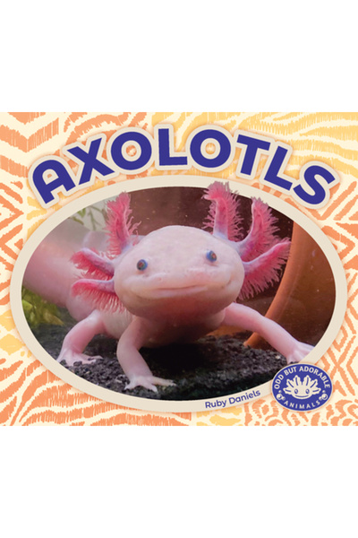 Big Buddy Books Axolotli