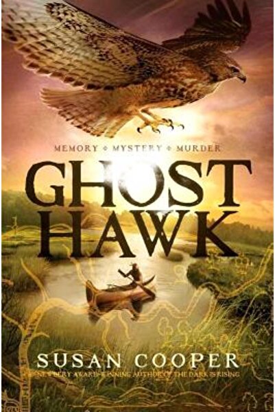 Margaret K Mcelderry Books Șoim Fantomă