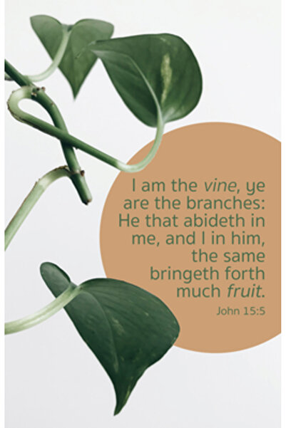 Broadman Church Supplies Buletin general de închinare: Mult rod (pachet de 10...