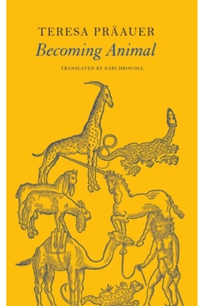 Sea Boating Becoming Animal