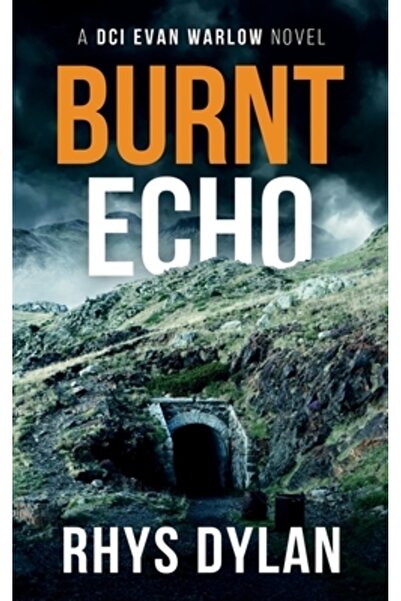 INDEPENDENT CAT Burnt Echo: Un thriller criminal al DCI Evan Warlow