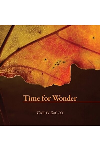 INDEPENDENT CAT Timp pentru minuni