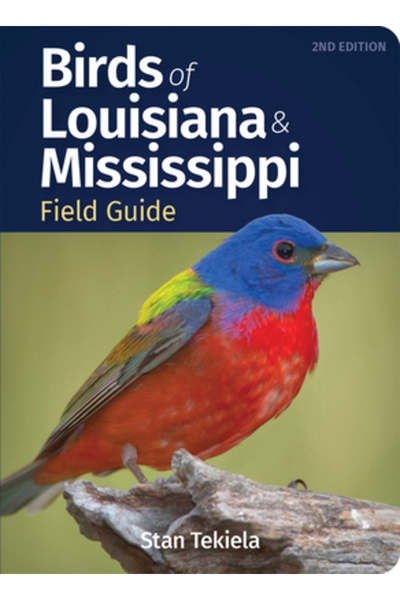 Adventurekeen Ghid de teren pentru păsările din Louisiana și Mississippi