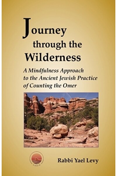 Prentice Hall Călătorie prin pustiu: O abordare mindfulness a practicii evrei...