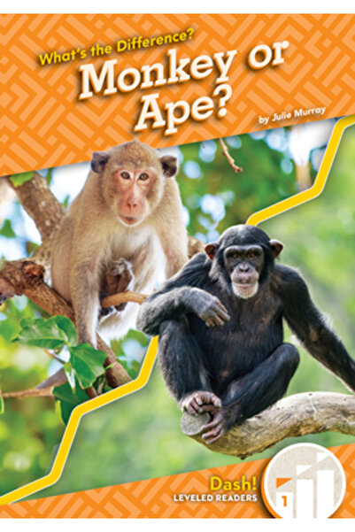 Dash Maimuță sau Primavă?