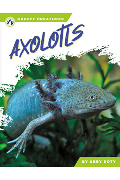 Apex Wea Intl Axolotli