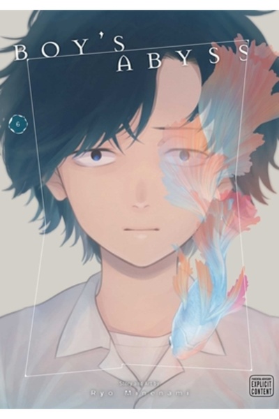 Viz LLC Abisul Băiatului, Vol. 6