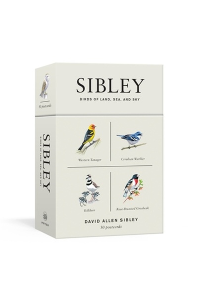 Potter Clarkson N Păsări de pământ, mare și cer de la Sibley: 50 de cărți poș...