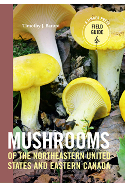 Cambridge Univ Pr Ciuperci din nord-estul Statelor Unite și estul Canadei: Gh...