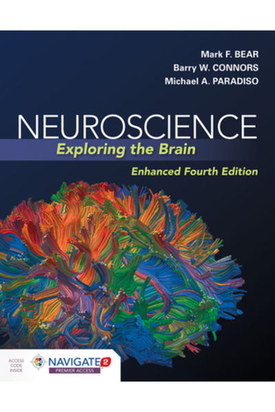 Jones & Bartlett Pub Inc Neuroștiințe: Explorarea creierului, ediție îmbunătă...