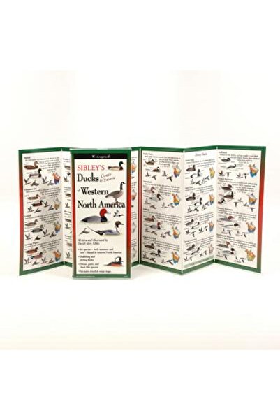 BIBLIOBAZAAR Sibley's Ducks, Geese,& Swans of Western North America