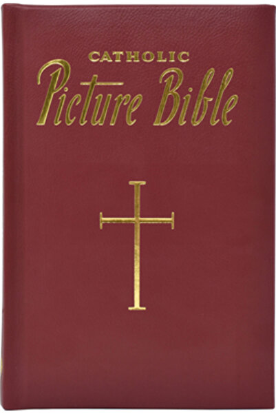 Catholic Book Publishing Company Noua Biblie Catolică Imaginată