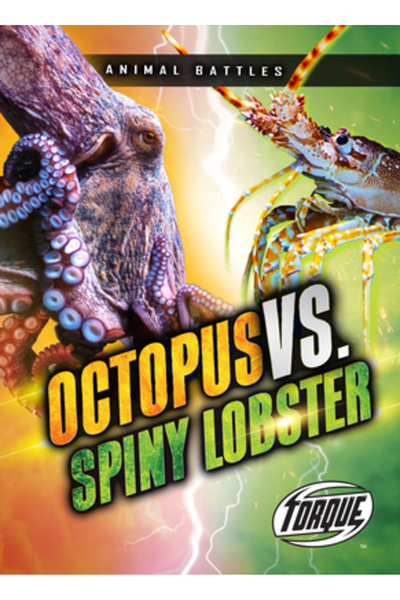 TORQUE Caracatiță vs. homar spinos