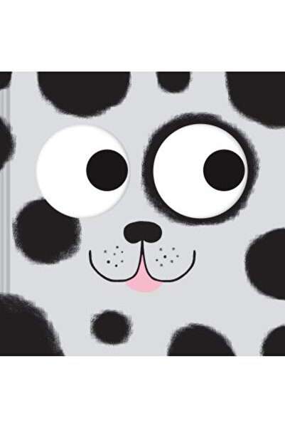 Chronicle Books Prinde-mă: o carte de căutare și găsire