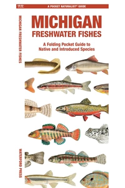 Waterford Pr Pești de apă dulce din Michigan: Un ghid pliabil impermeabil pen...