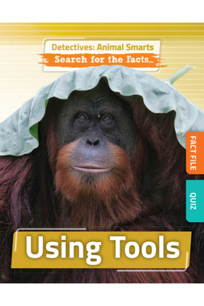 Amicus Ink Utilizarea instrumentelor