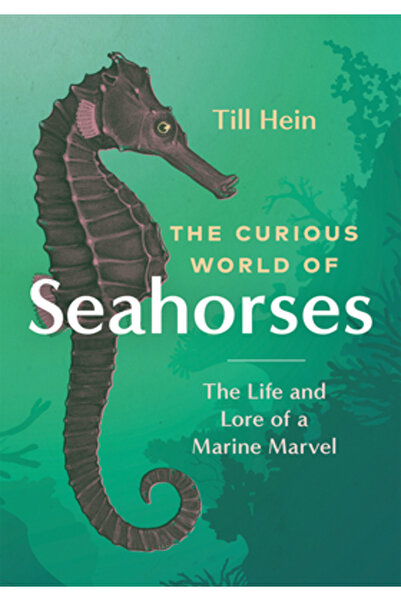 Greystone Books Lumea curioasă a căluților de mare: Viața și poveștile unei m...