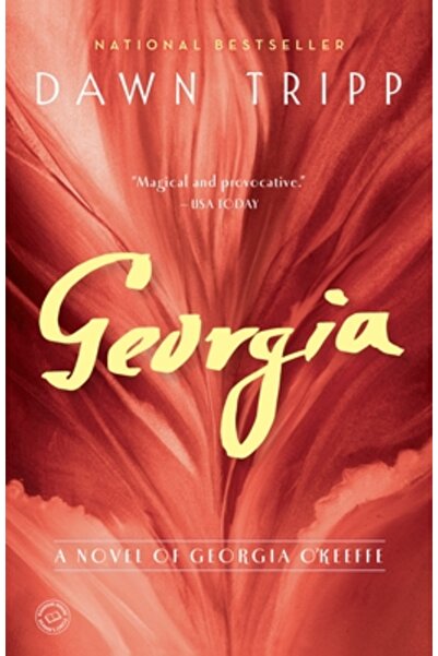 Univ Of Washington Pr Georgia: Un roman de Georgia O'Keeffe
