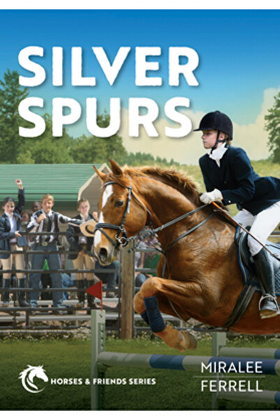 David C Cook Pub Pinteni de Argint