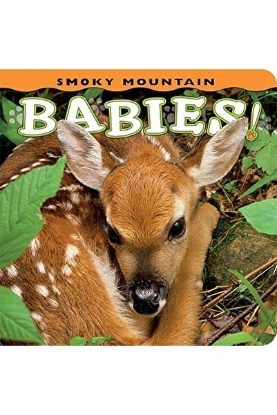 Kessinger Pub Llc Bebelușii din Munții Fumători!