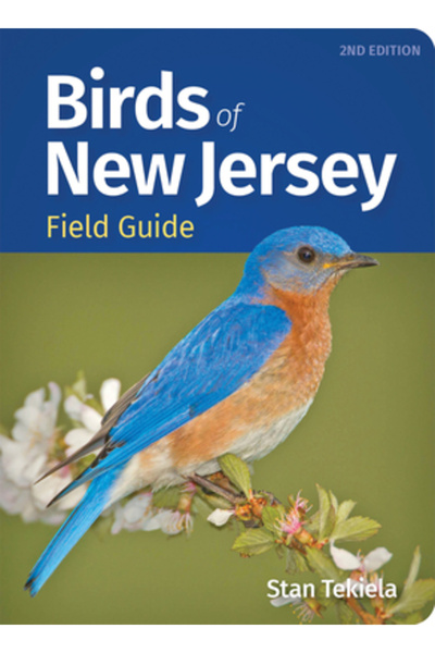 Adventurekeen Ghid de teren pentru păsările din New Jersey