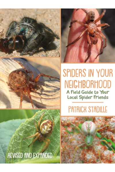 Heyday Books Păianjenii din cartierul tău: Un ghid de teren pentru prietenii ...