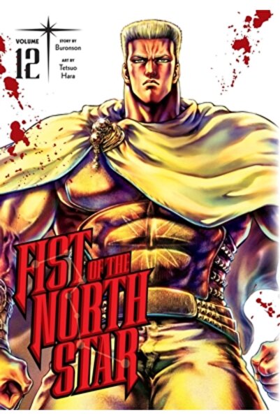 Viz LLC Pumnul Stelei Polare, Vol. 12