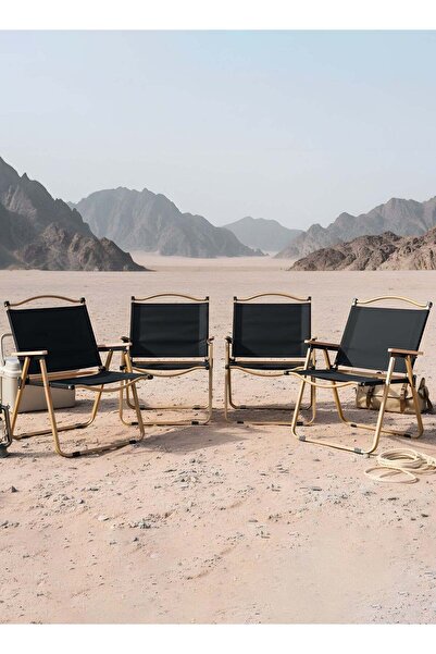 Taimi 4-Piece Lightweight Folding Portable Camping Chair for Picnics, Hiking, Beach, Garden - Black\Gold