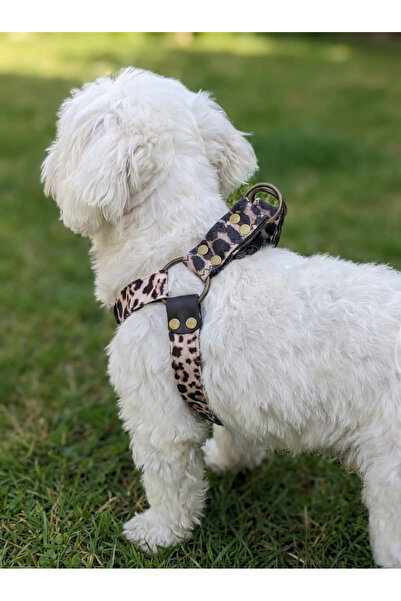 balkonda Dog Collar Small and Medium Breed Adjustable Column Cord Leopard Pat...