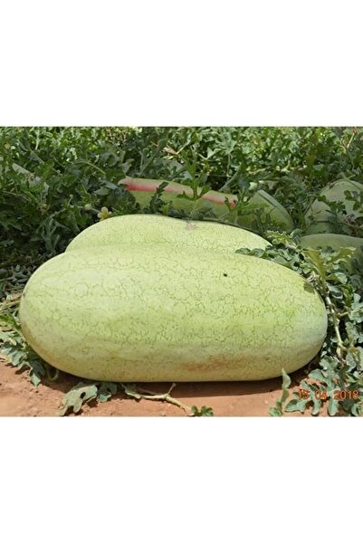 Bathurat Basharat Watermelon Seeds 10g