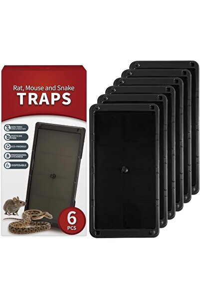AZONEE مصائد فئران لاصقة للصراصير والفئران والثعابين - غير سامة للاستخدام الداخلي - 6 قطع