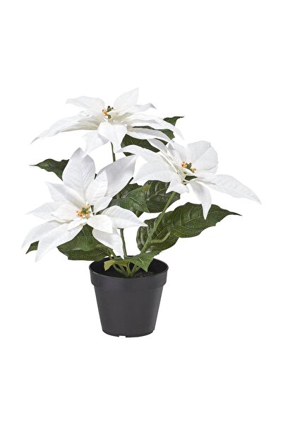IKEA Plantă Artificială Vınterfınt Albă 12 Cm Floarea Ataturk