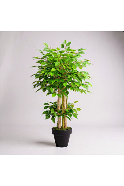 florayapaycicekcom Yapay Benjamin Ağaç Islak Doku Dogal Gövde Siyah Saksı 130 Cm