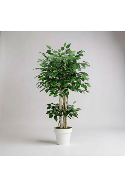 florayapaycicekcom Yapay Benjamin Ağaç Islak Doku Dogal Gövde Beyaz Saksı 120 Cm
