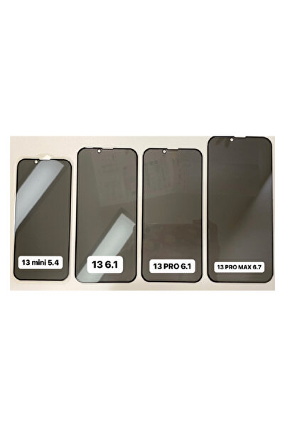 OEM Privacy Protection Film Apple iPhone 13 Pro Max
