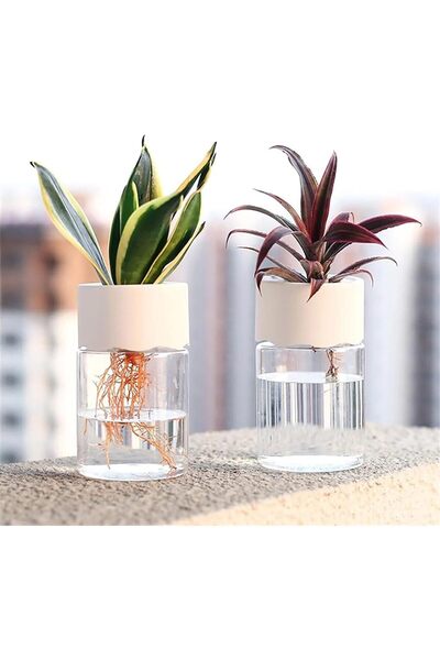 JOYZZZ Mini Flower Pots, 2PCS Removable Self Watering Planter Pot, Hydroponic Flower Pots with Plast