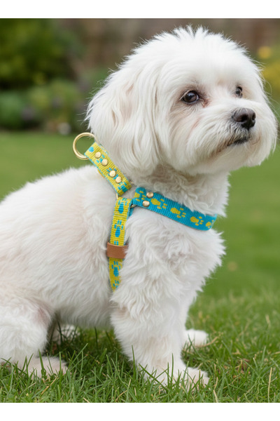 balkonda طوق للكلاب من السلالات الصغيرة والصغيرة جدًا، قابل للتعديل بعرض 1.5 ...