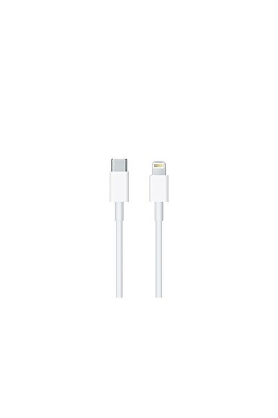 OEM Cablu Date iPhone, Type C, Fast Charging