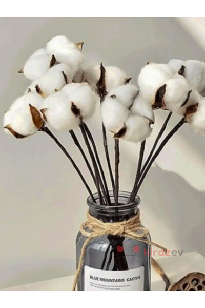 KirazEv 8’li Beyaz Doğal Pamuk Dalı, Doğal Pamuk Dalları