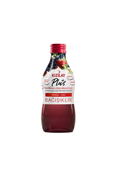Kızılay Plus Kara Mürver & Çilek & Mürver Çiçeği 200 ml x 24 Şişe - Erzincan