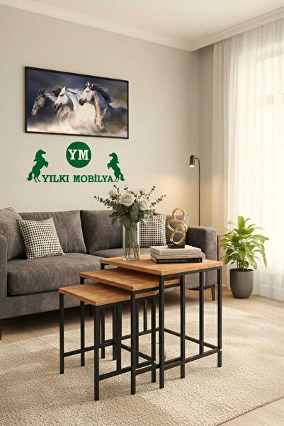 Yılkı Mobilya JAN 3'LÜ ZİGON SEHPA