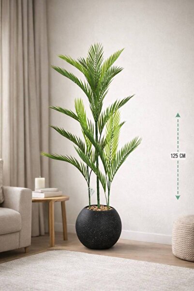 CENTRHOME شجرة أريكا بثلاثة فروع طول 125 cm بمركن مكور