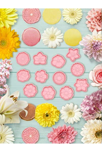 Laraheiser 3Dprototürk 12 Pieces Assorted Cookie Mold Set - 5 cm Healthy Pla ...