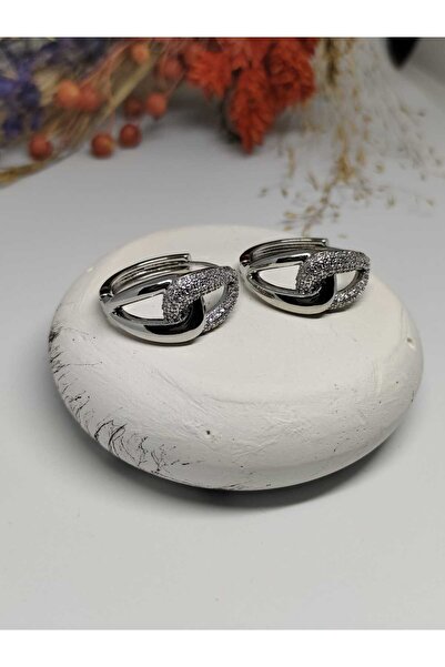 Tuel Stylishly Designed Steel Earrings with Silver Detailing