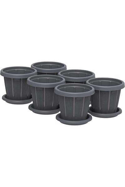 Cosmoplast 8 Inch Flower Pot Set with Tray, 6 Pieces, Dark Gray