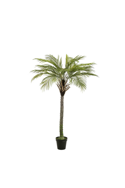 homez نخلة فينيكس صناعية فاخرة في أصيص، خضراء، 120 × 120 × 180 سم