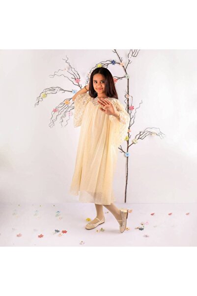 Mamnon فستان شيفون بيج مطرز