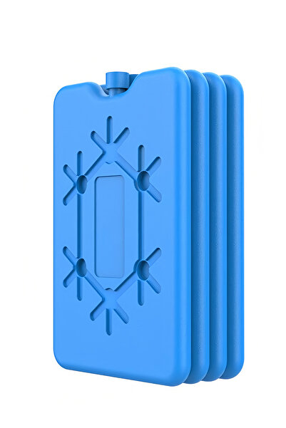 Leon Lifestyle Lion Home 4-Pack Ice Packs (Coolers), Slim Freezer Packs for L...