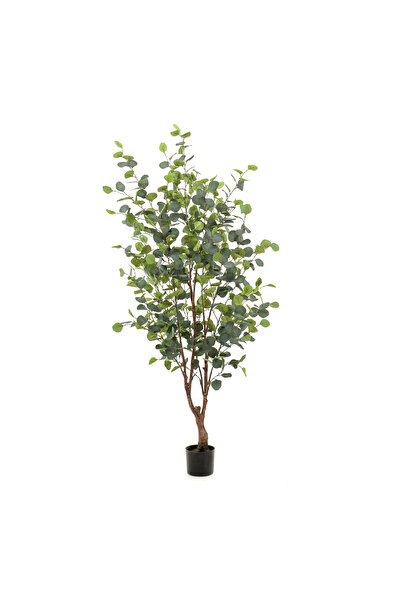 homez شجرة أوكالبتوس اصطناعية في أصيص، خضراء، 60 × 60 × 150 سم